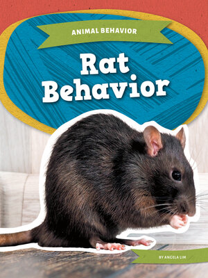 cover image of Rat Behavior